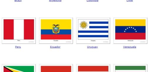 Flags of South America