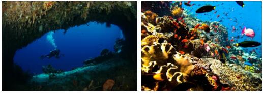 Diving in Indonesia, Sulawesi Island
