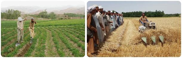 Afghanistan Agriculture